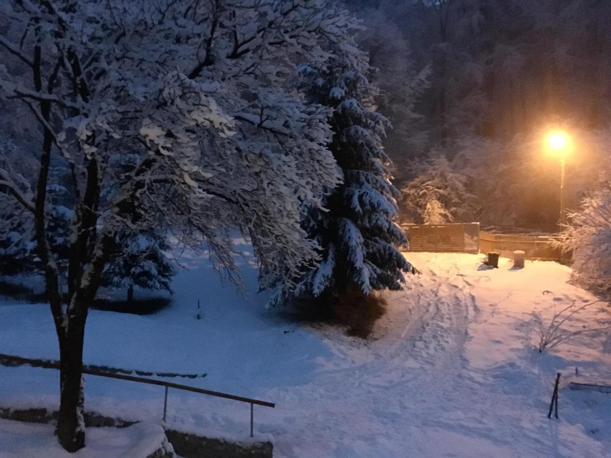 Soho Lodge Rasnov Exterior foto
