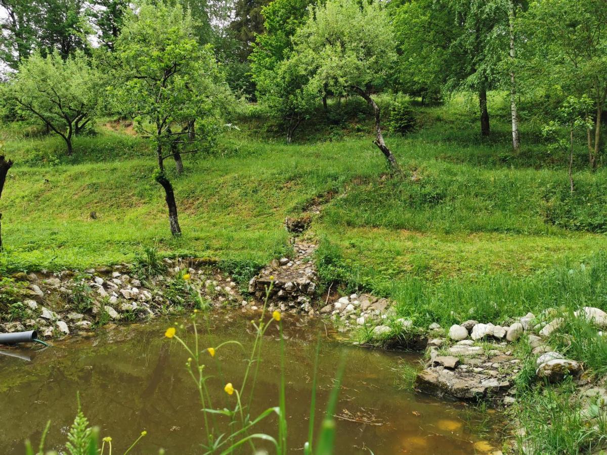 Soho Lodge Rasnov Exterior foto
