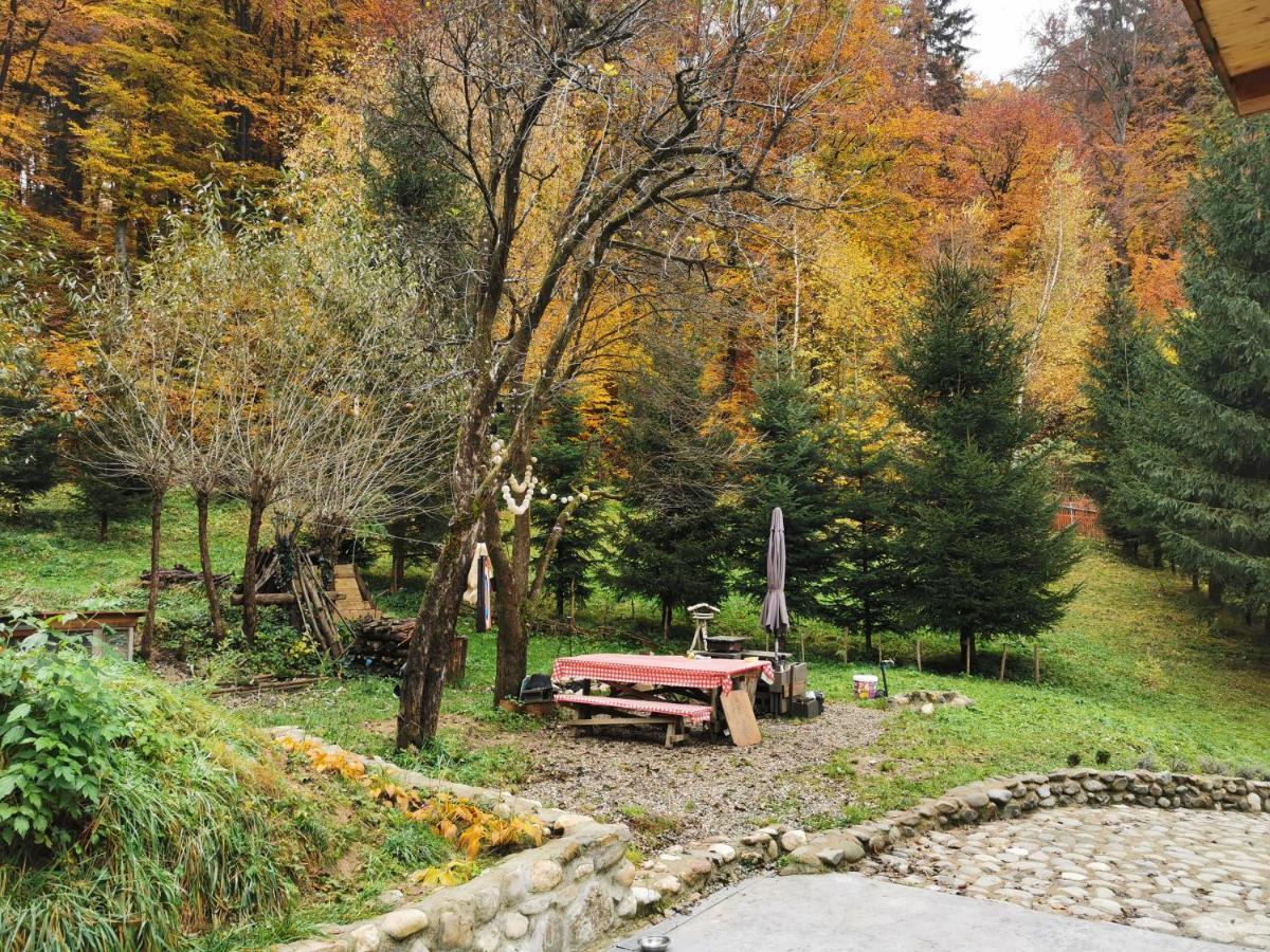 Soho Lodge Rasnov Exterior foto
