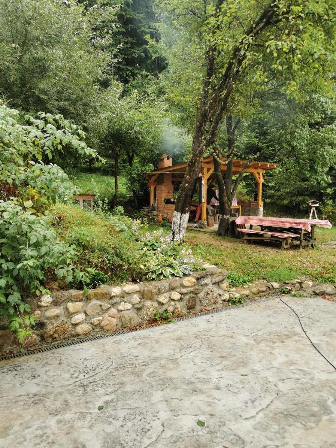 Soho Lodge Rasnov Exterior foto