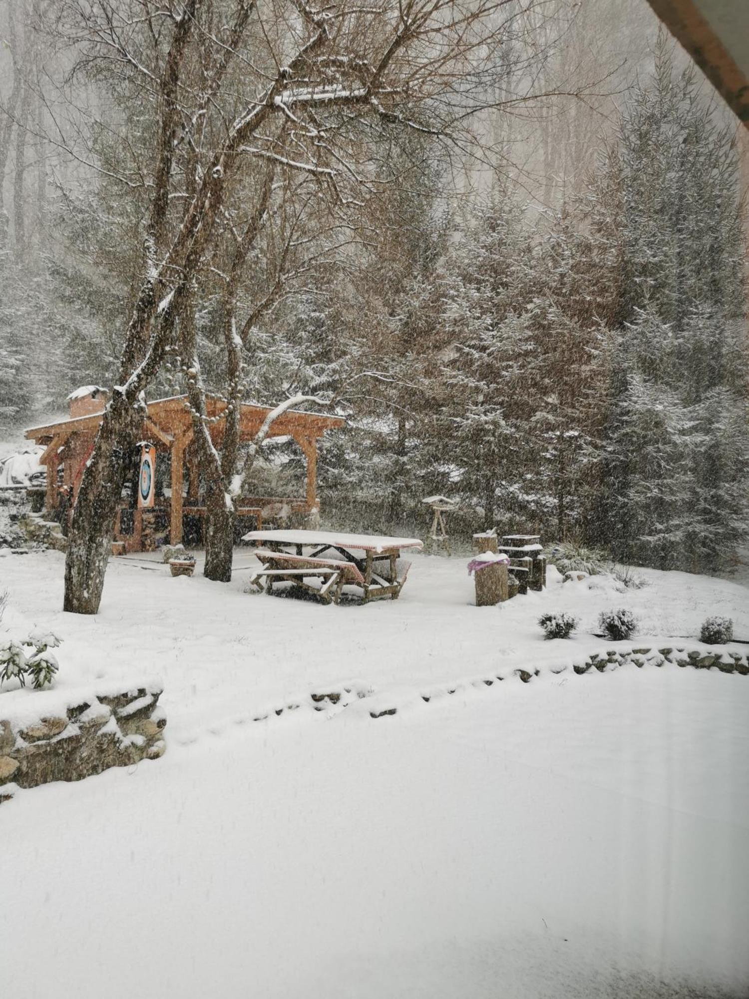 Soho Lodge Rasnov Exterior foto